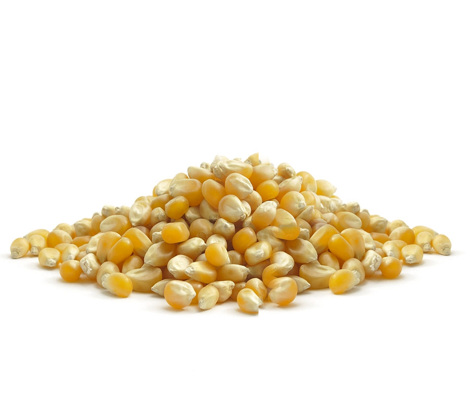 Popping Corn