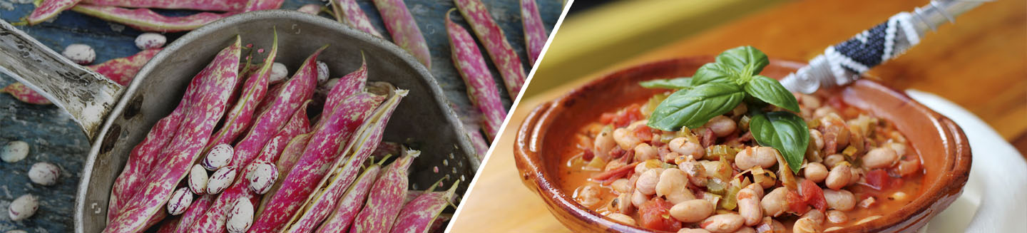 Cranberry Beans