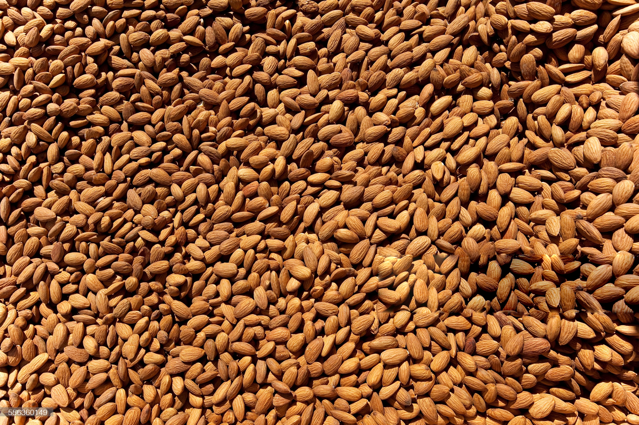 Almonds